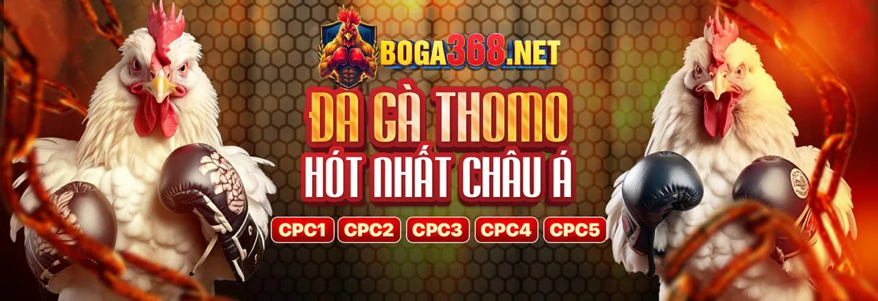 Chính Sách Bảo Mật của 79kimg